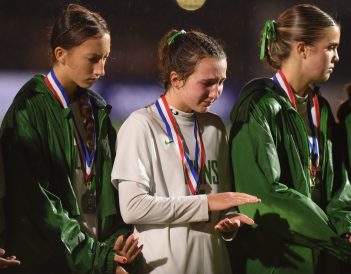 article image - Silvi Rossi_9878